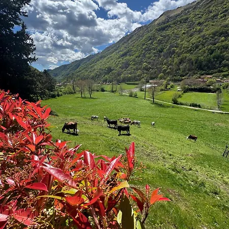 Апартаменты Valley View *