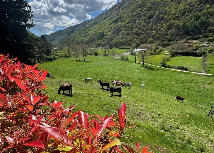 Апартаменты Valley View *